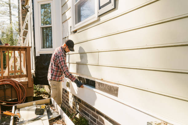 Top rated local Vinyl Siding specialists in Bushnell, IL